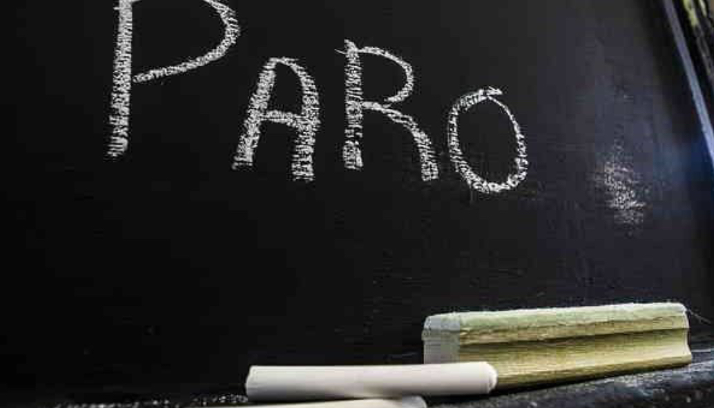 Este Jueves Los Docentes Del SUTEF Vuelven Al Paro Este Jueves Los Docentes Del SUTEF Vuelven Al Paro