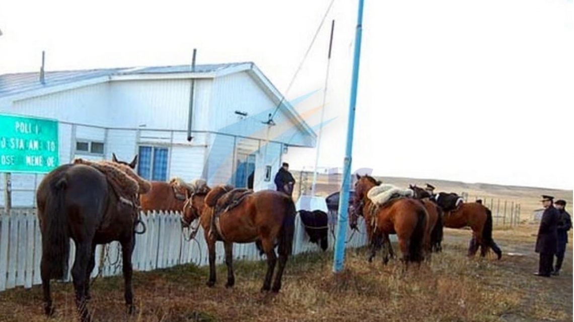 Brigada Rural Incautó Cinco Caballos En El Puesto José Menéndez Brigada Rural Incautó Cinco Caballos En El Puesto José Menéndez
