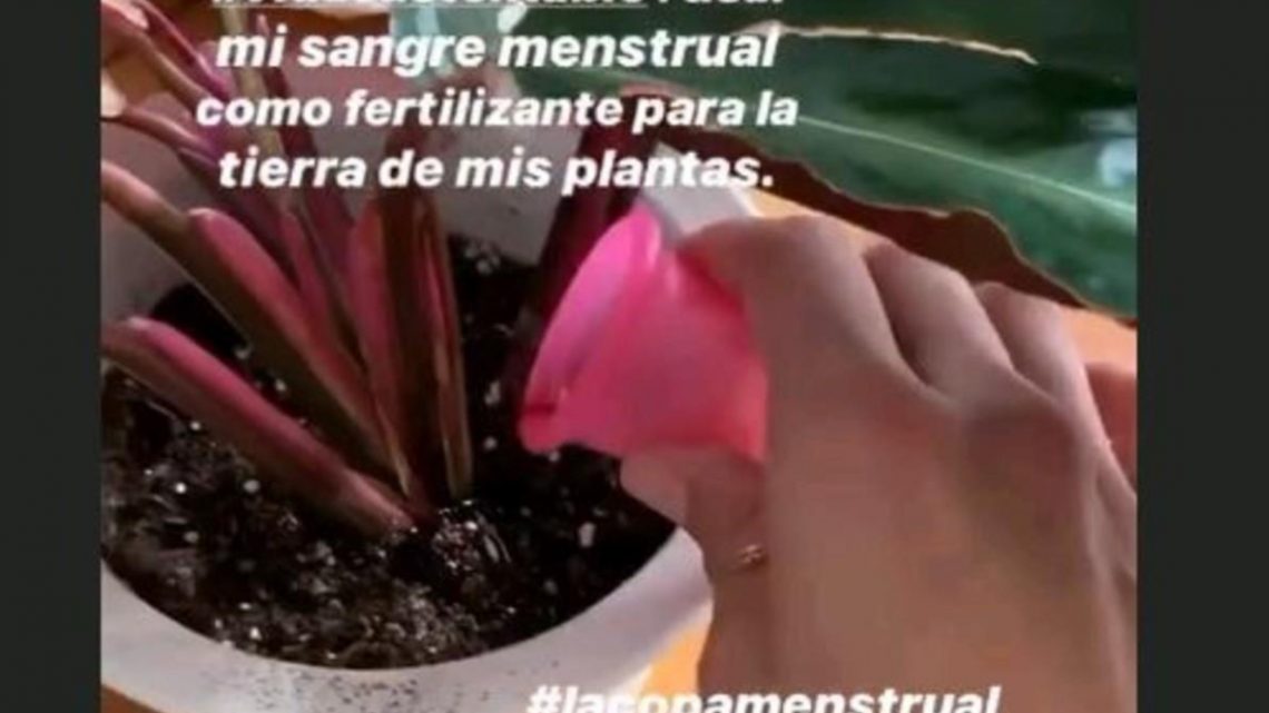 Calu Rivero Mostró Con Un Video Cómo Riega Sus Plantas Con La Sangre De Su Copa Menstrual Calu Rivero Mostró Con Un Video Cómo Riega Sus Plantas Con La Sangre De Su Copa Menstrual