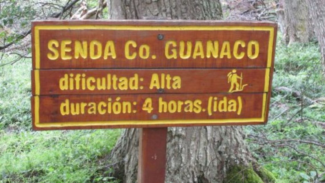 Se encuentra abierta al público la Senda del Guanaco Se encuentra abierta al público la Senda del Guanaco