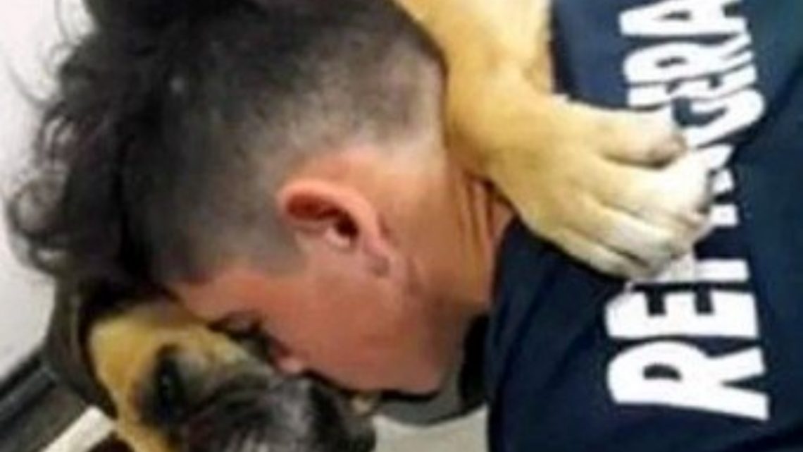 La Conmovedora Imagen De Una Perrita Que Murió En Brazos De Su Dueño A Causa De La Pirotecnia La Conmovedora Imagen De Una Perrita Que Murió En Brazos De Su Dueño A Causa De La Pirotecnia