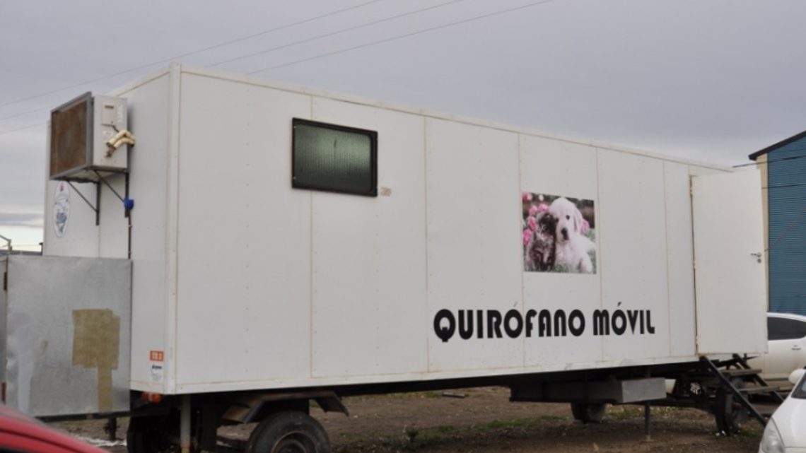 Quirófanos móviles en la Margen Sur y Barrio Mutual: horarios para la castración de perros y gatos Quirófanos móviles en la Margen Sur y Barrio Mutual: horarios para la castración de perros y gatos