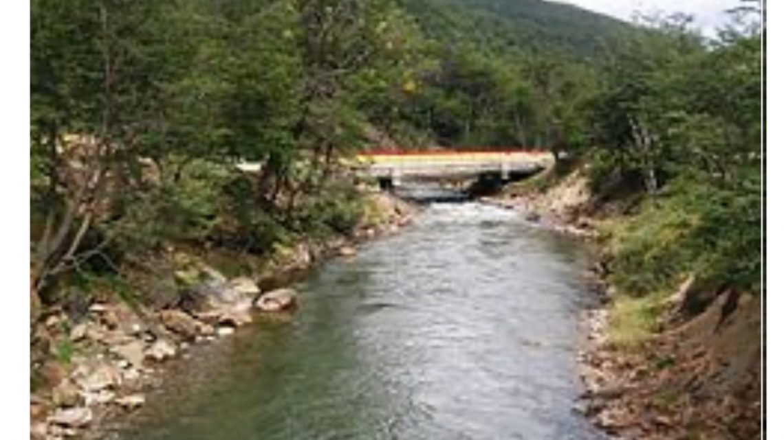 Río Libre: Desalambraron El Olivia Río Libre: Desalambraron El Olivia