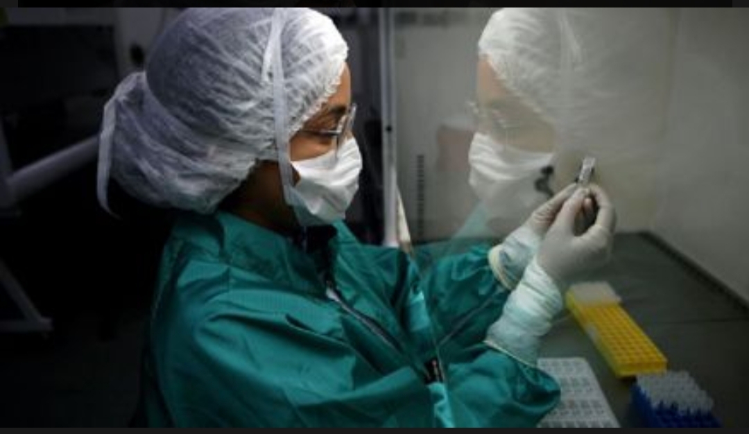 CORONAVIRUS: CASOS POSITIVOS. 63 en Tierra del Fuego CORONAVIRUS: CASOS POSITIVOS. 63 en Tierra del Fuego