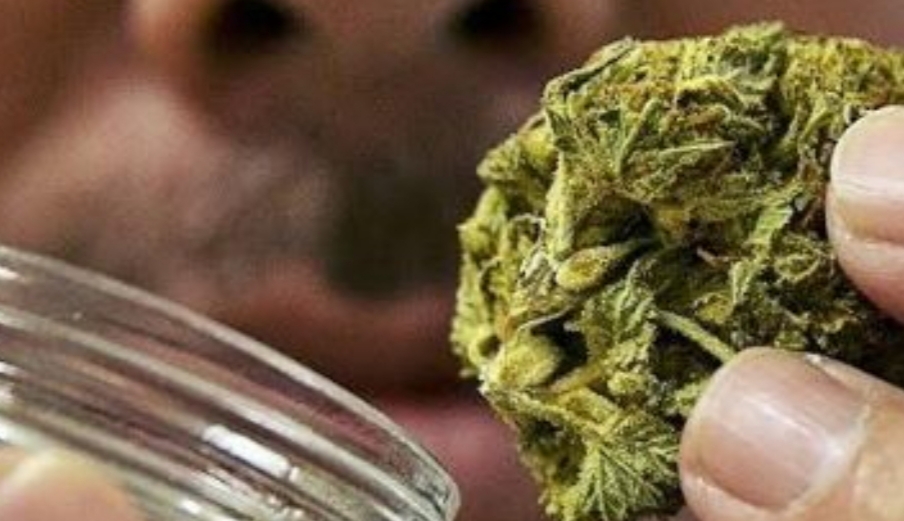 Fue A Comprar Marihuana, Le Vendieron Pasto Seco Y Sus Amigos Lo Secuestraron Para Recuperar La Plata Fue A Comprar Marihuana, Le Vendieron Pasto Seco Y Sus Amigos Lo Secuestraron Para Recuperar La Plata