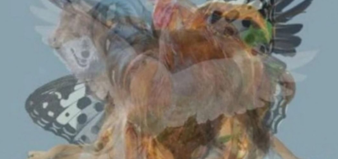 ¿Qué Animal Ves Primero?: El Desafío Visual Que Define Tu Personalidad ¿Qué Animal Ves Primero?: El Desafío Visual Que Define Tu Personalidad