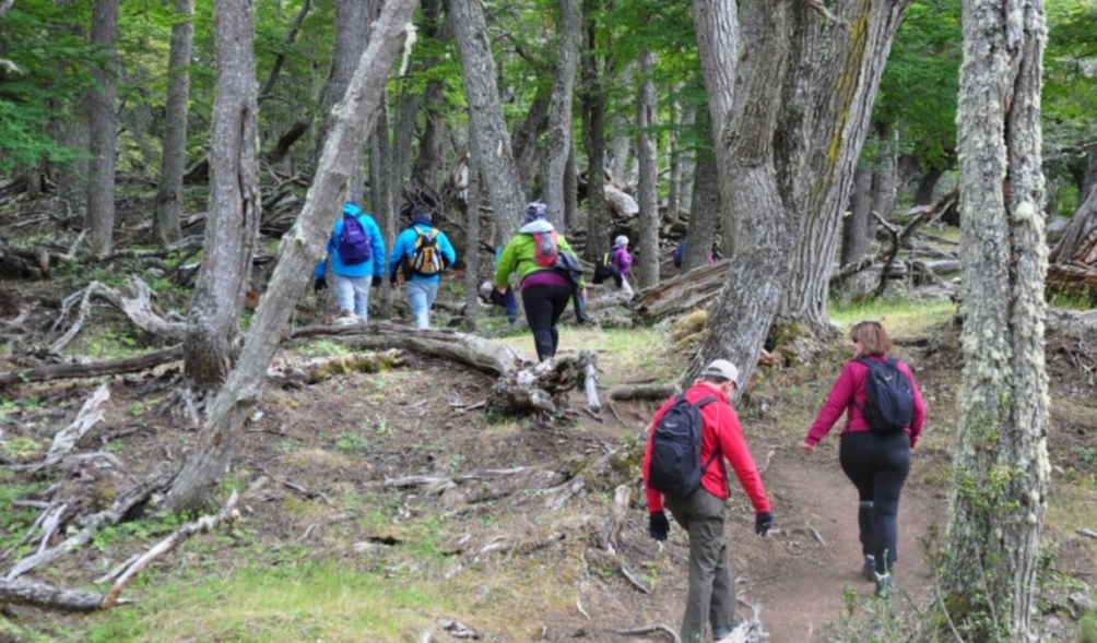 Trekking Y Automovilismo, Las Próximas Actividades Que Se Habilitarán Desde El Gobierno Trekking Y Automovilismo, Las Próximas Actividades Que Se Habilitarán Desde El Gobierno