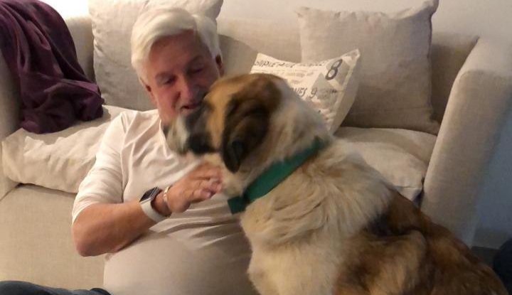 DURANTE LA CUARENTENA, 23 PERROS DE LOS CANILES MUNICIPALES ENCONTRARON UN HOGAR DONDE VIVIR DURANTE LA CUARENTENA, 23 PERROS DE LOS CANILES MUNICIPALES ENCONTRARON UN HOGAR DONDE VIVIR