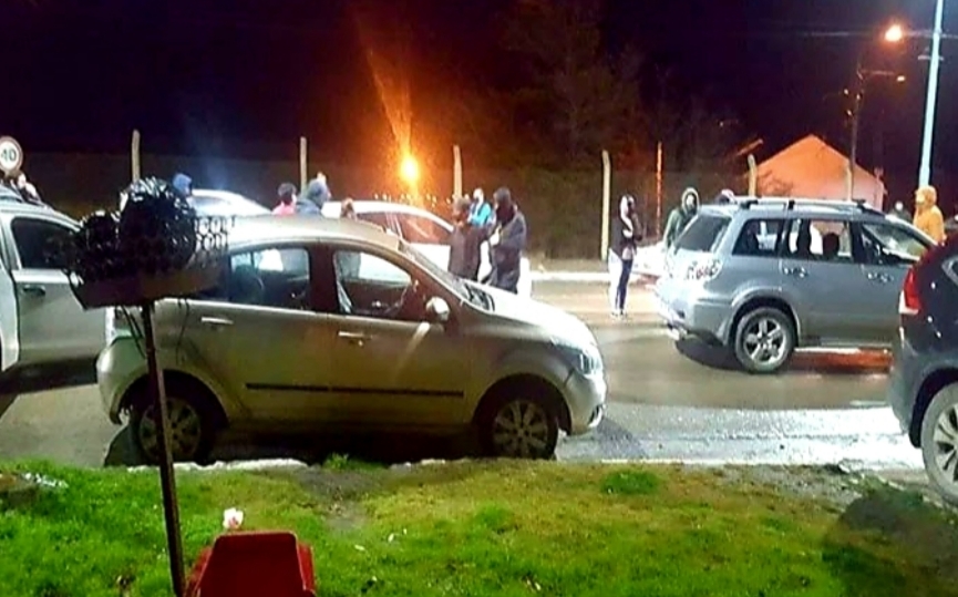 Secuestran 20 plantas de marihuana en Ushuaia Secuestran 20 plantas de marihuana en Ushuaia