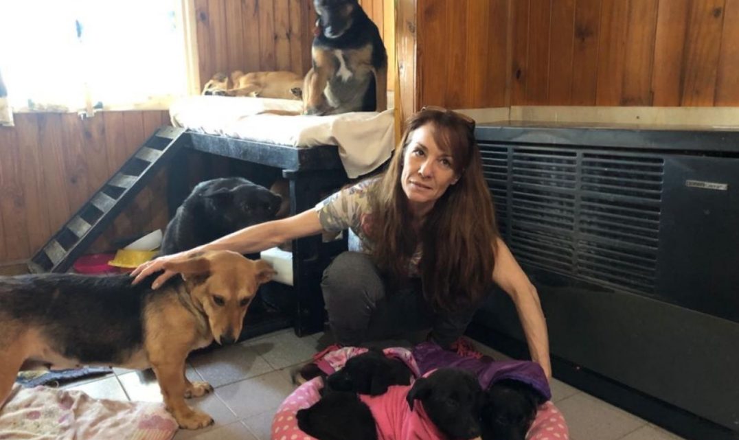 Una protectora de animales solicita colaboración y cuenta su situación Una protectora de animales solicita colaboración y cuenta su situación