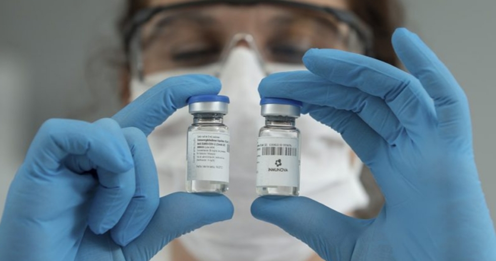 Investigadores argentinos neutralizan el coronavirus en laboratorio con suero de caballos Investigadores argentinos neutralizan el coronavirus en laboratorio con suero de caballos