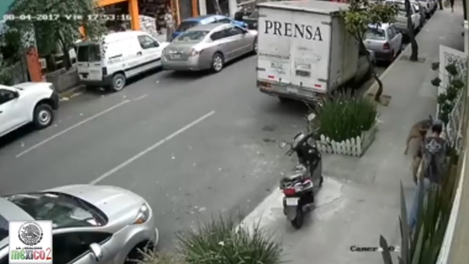 Hombre Se Enfrenta A Un Pit Bull Para Salvar A Su Perro Pequeño Hombre Se Enfrenta A Un Pit Bull Para Salvar A Su Perro Pequeño