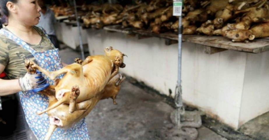 Pese a la alerta sanitaria por el coronavirus, China abrió su feria anual de carne de perro Pese a la alerta sanitaria por el coronavirus, China abrió su feria anual de carne de perro