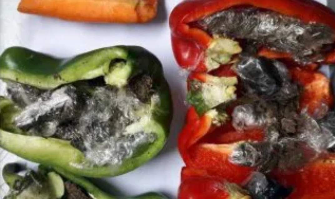 Quiso entrar a una cárcel de La Plata con cocaína escondida en verduras Quiso entrar a una cárcel de La Plata con cocaína escondida en verduras