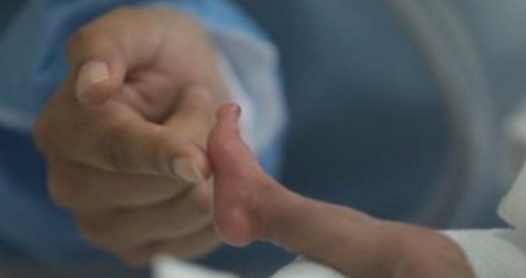 Bebé prematuro de 580 gramos logró superar el COVID-19 Bebé prematuro de 580 gramos logró superar el COVID-19