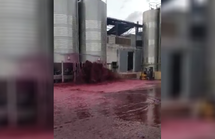 Se reventó un depósito con 50 mil litros de vino tinto (y hubo un tsunami de malbec)