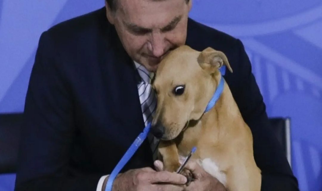 Jair Bolsonaro promulgó una ley contra el maltrato animal e hizo «firmar» a un perro