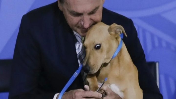 Jair Bolsonaro promulgó una ley contra el maltrato animal e hizo «firmar» a un perro