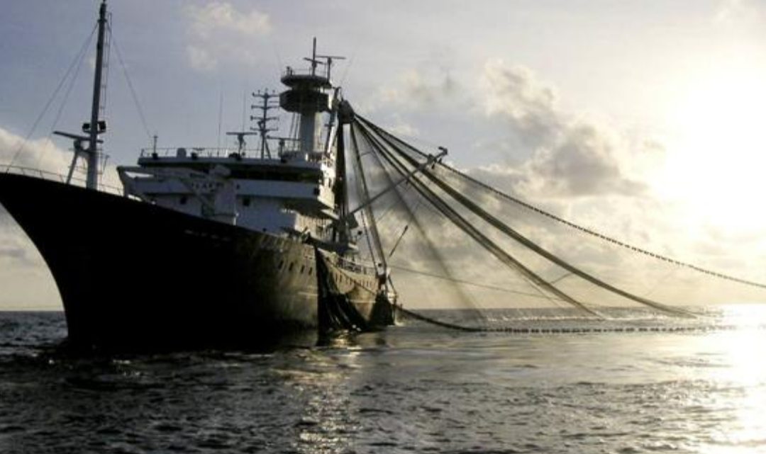 Se acerca una flota de 340 buques chinos acusados de “depredar los mares”