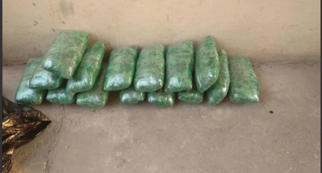 Descubren 22 kilos de hojas de coca en camioneta en la que viajaban 8 concejales de Salta Descubren 22 kilos de hojas de coca en camioneta en la que viajaban 8 concejales de Salta