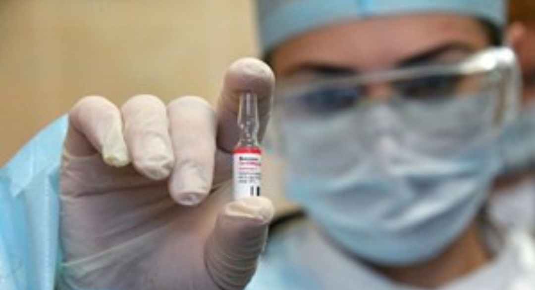 El Gobierno informó que la vacuna contra el coronavirus será obligatoria: «Por salud pública y solidaridad» El Gobierno informó que la vacuna contra el coronavirus será obligatoria: «Por salud pública y solidaridad»