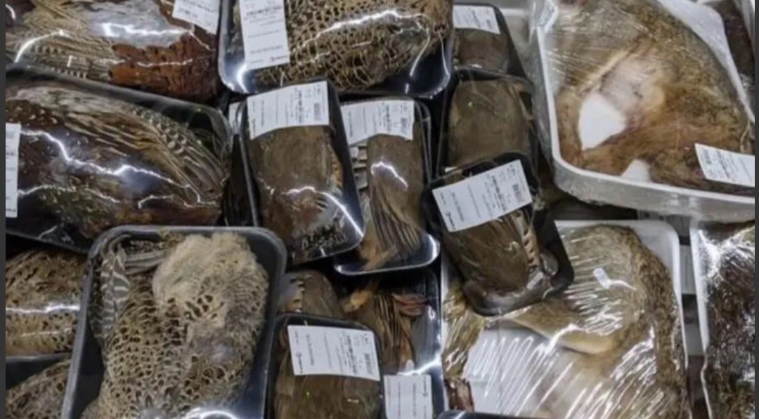 Polémica por supermercado que vendía animales enteros en bandejas Polémica por supermercado que vendía animales enteros en bandejas