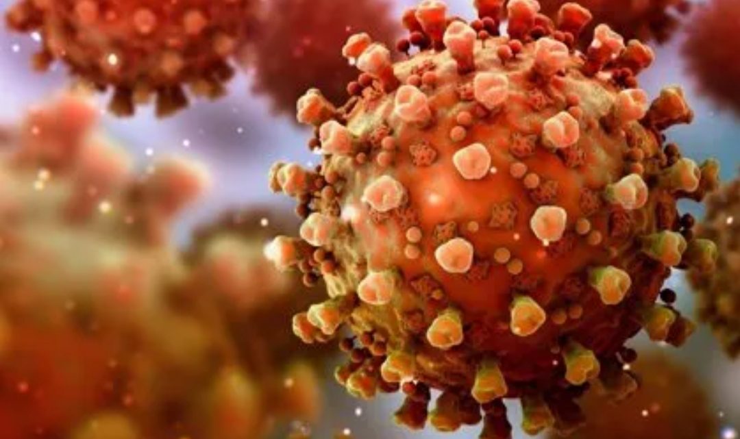 Nuevas mutaciones del coronavirus: se potencia el virus Nuevas mutaciones del coronavirus: se potencia el virus