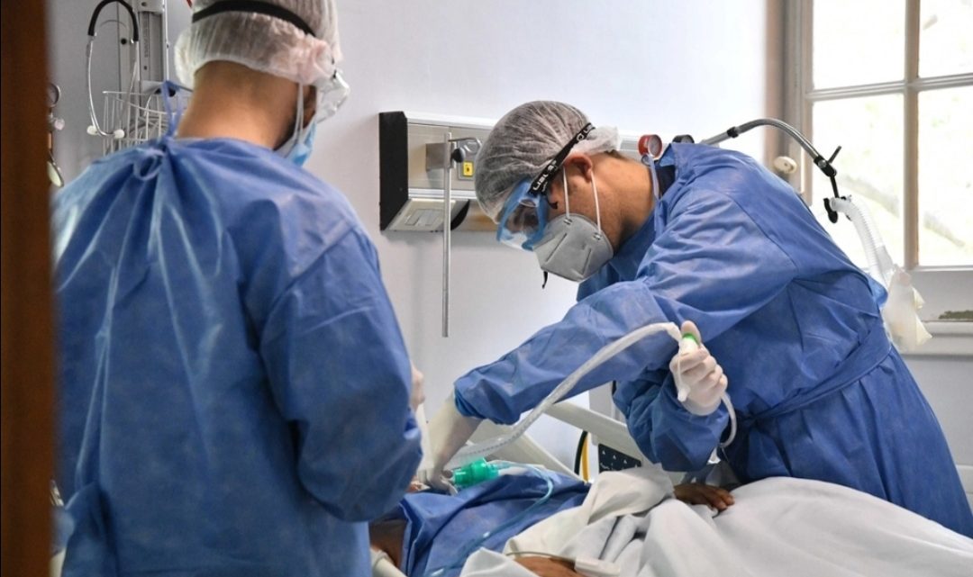 Coronavirus en Argentina: se registraron 262 muertes Coronavirus en Argentina: se registraron 262 muertes