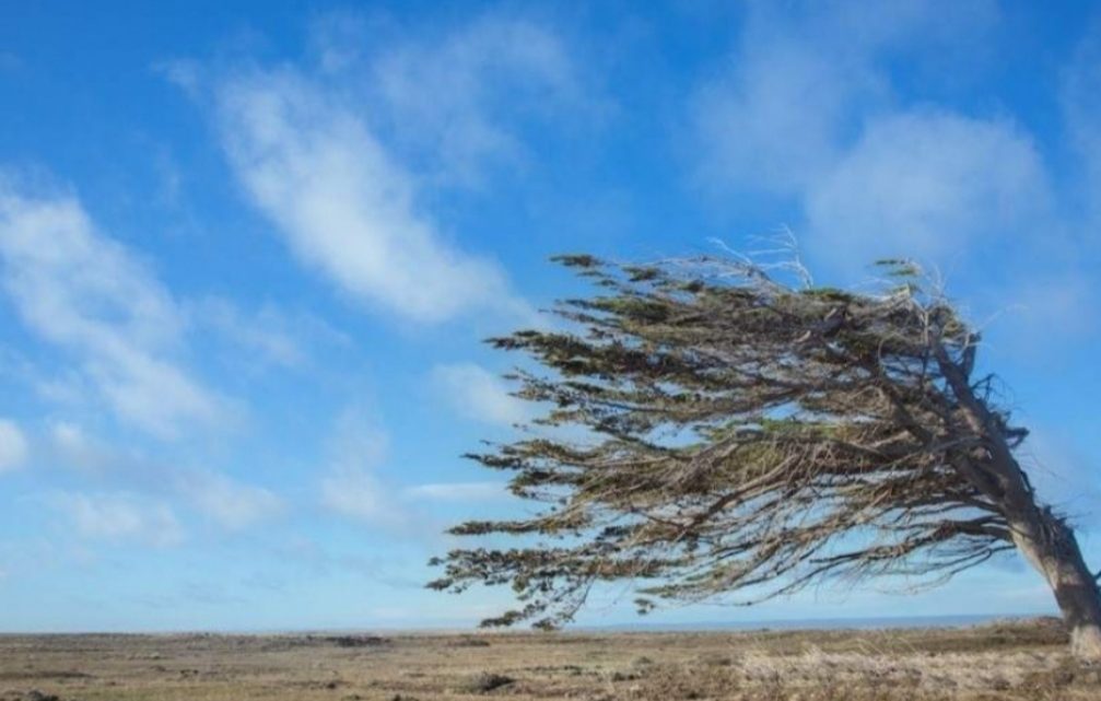 ¿Hasta cuándo sigue el viento en Tierra del Fuego? ¿Hasta cuándo sigue el viento en Tierra del Fuego?