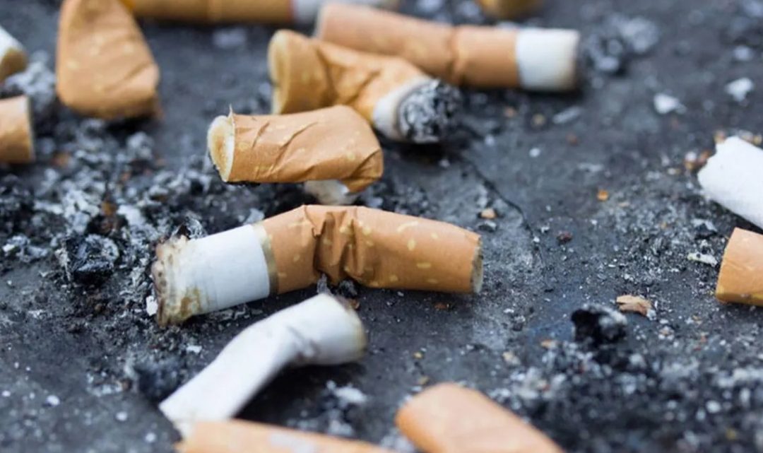 Prohíben por ley arrojar colillas de cigarrillos en la vía pública Prohíben por ley arrojar colillas de cigarrillos en la vía pública