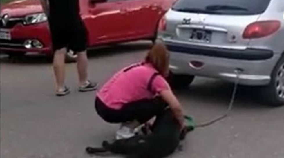 Una mujer ató a su perro al auto y lo arrastró varias cuadras Una mujer ató a su perro al auto y lo arrastró varias cuadras