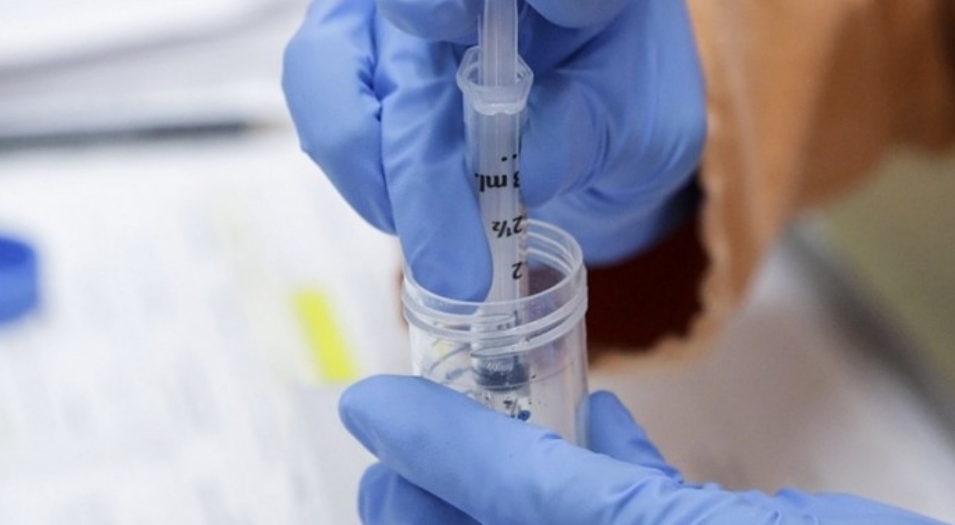 La OMS advirtió que las vacunas «no erradicarán el coronavirus» hasta que no se sepa cómo se transmite La OMS advirtió que las vacunas «no erradicarán el coronavirus» hasta que no se sepa cómo se transmite