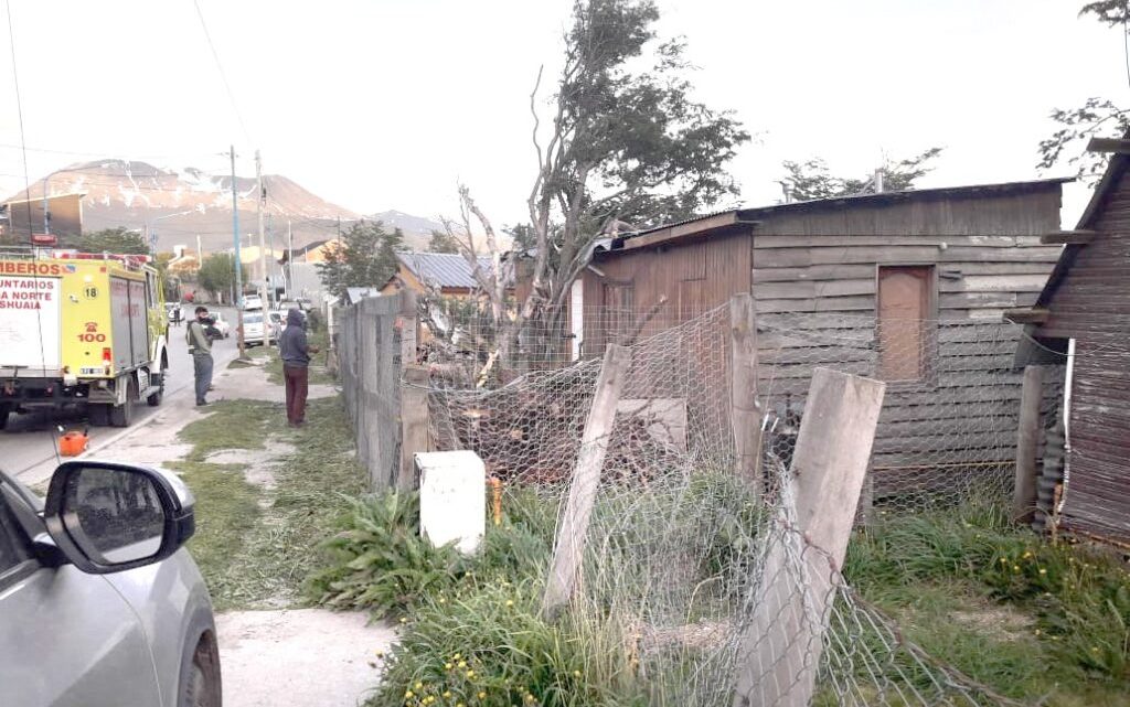 Fuertes ráfagas provocaron la caída de un árbol sobre una casa Fuertes ráfagas provocaron la caída de un árbol sobre una casa