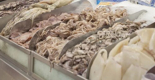 Anisakiasis: la enfermedad de los peces que se puede transmitir a los humanos Anisakiasis: la enfermedad de los peces que se puede transmitir a los humanos