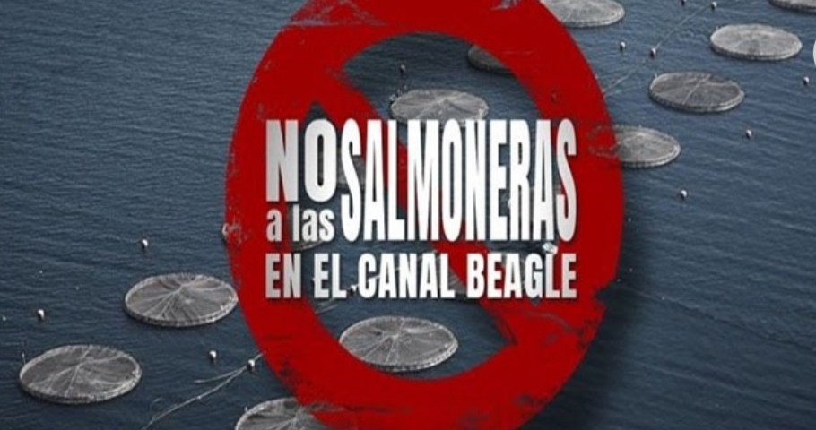 Legislatura tratara proyecto para prohibir salmoneras en TDF Legislatura tratara proyecto para prohibir salmoneras en TDF