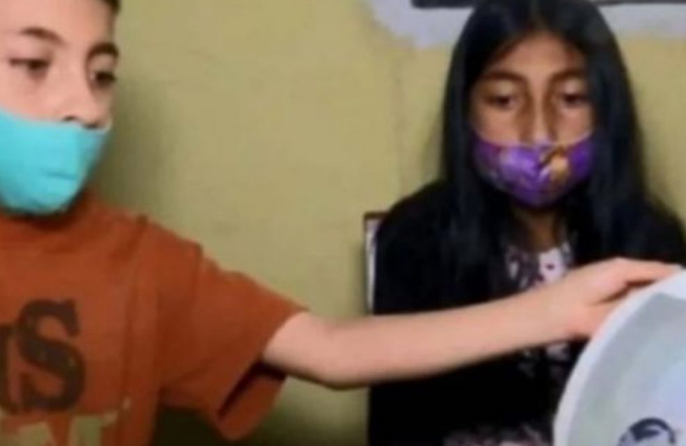 Hicieron quedar de curso a dos changuitos pobres por no tener computadora Hicieron quedar de curso a dos changuitos pobres por no tener computadora