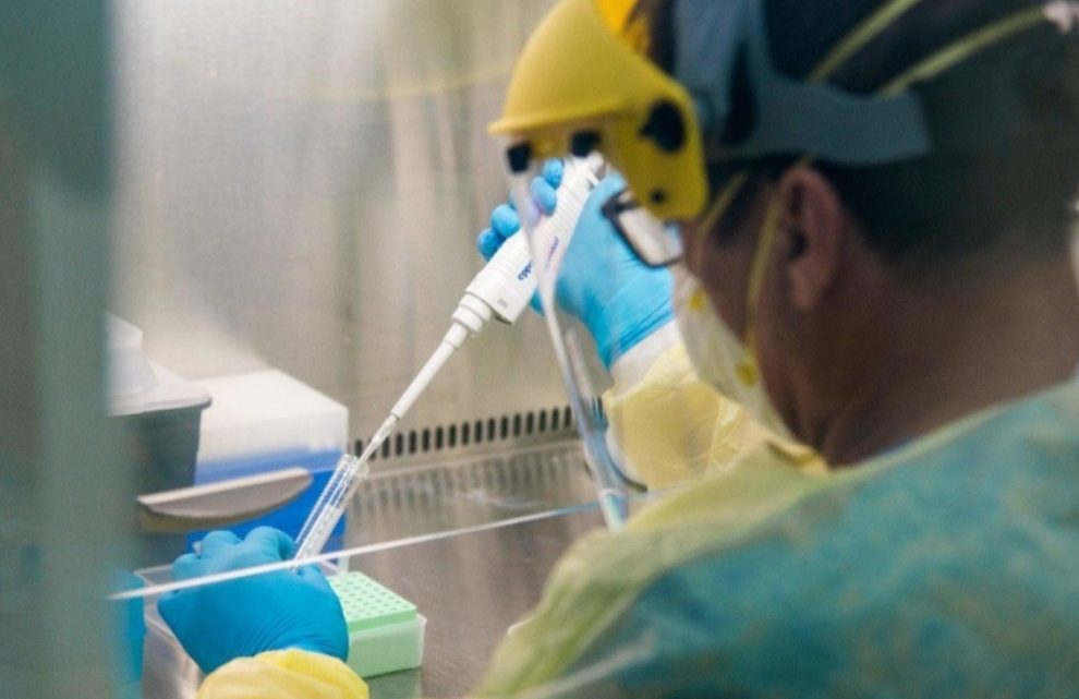 Informan dos fallecidos y 52 nuevos casos positivos de coronavirus en Tierra del Fuego Informan dos fallecidos y 52 nuevos casos positivos de coronavirus en Tierra del Fuego