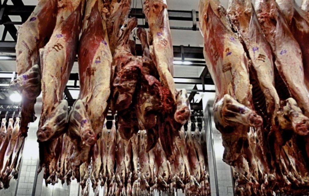 Asado, vacío y matambre: el plan para que haya «carne barata » en las fiestas Asado, vacío y matambre: el plan para que haya «carne barata » en las fiestas