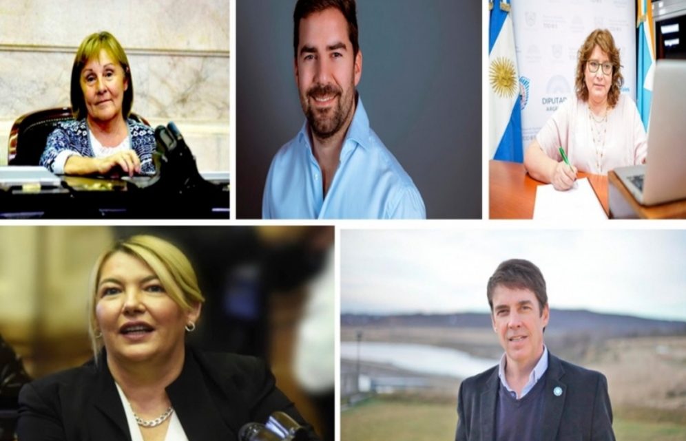 Legalización del aborto: cómo votaron los diputados fueguinos Legalización del aborto: cómo votaron los diputados fueguinos