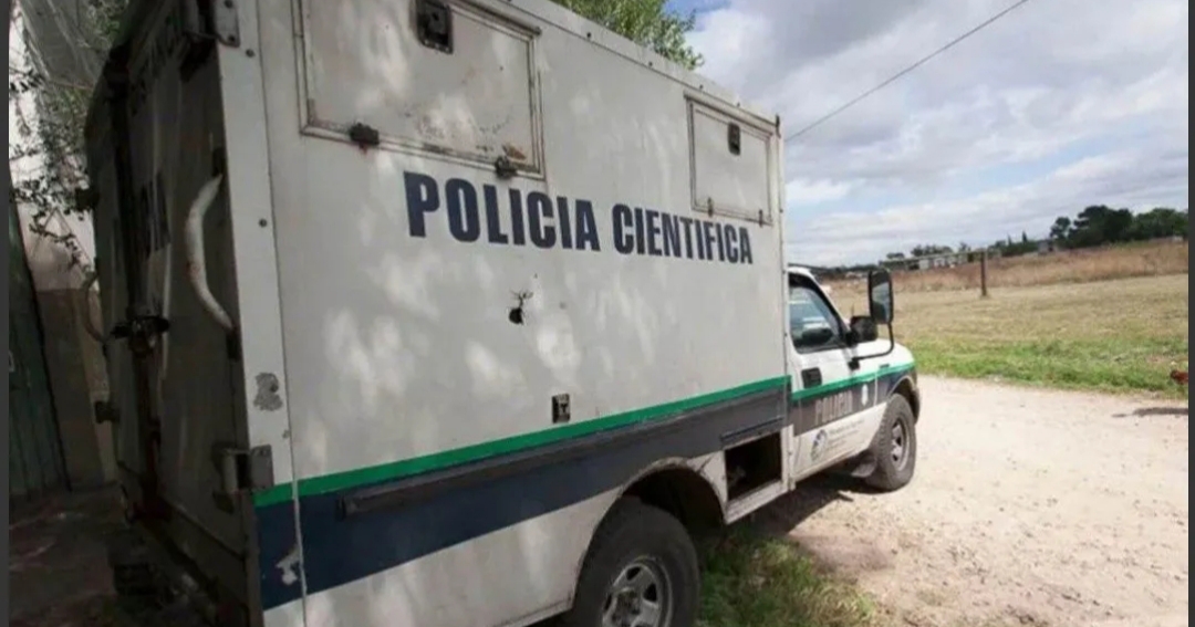 Horror en Mar del Plata: asesinaron a un hombre y una jauría devoró su cadáver Horror en Mar del Plata: asesinaron a un hombre y una jauría devoró su cadáver