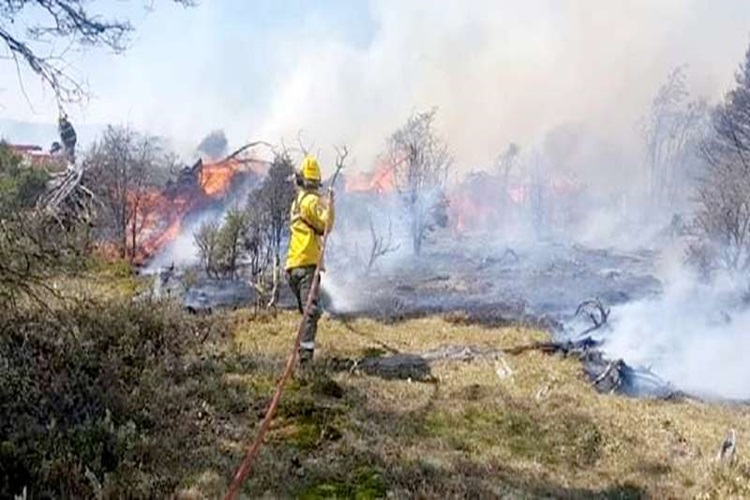 Incendio por un fogón mal apagado