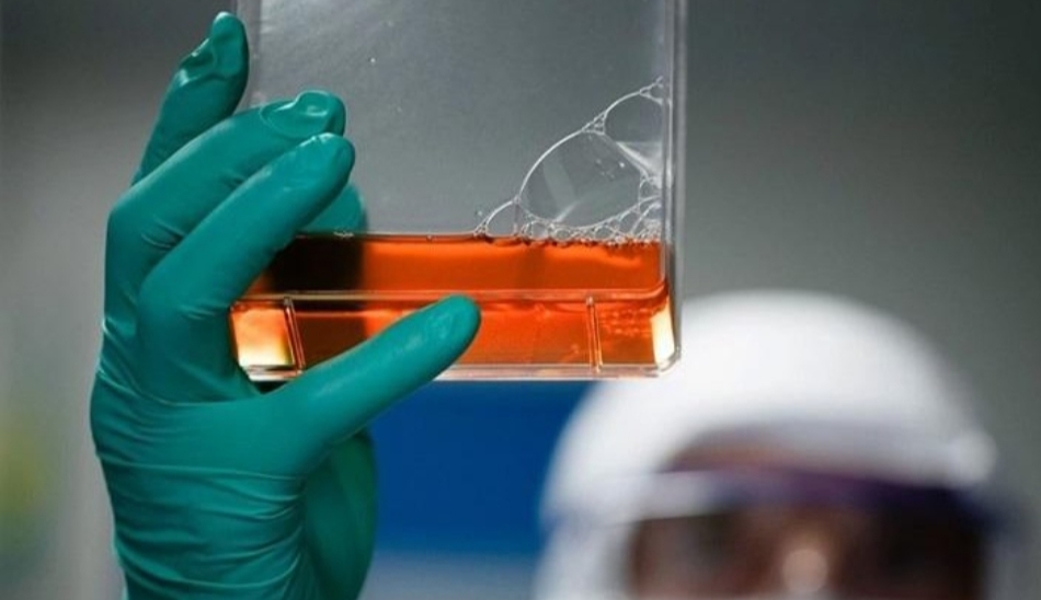 Coronavirus: el suero equino estará disponible la semana que viene Coronavirus: el suero equino estará disponible la semana que viene