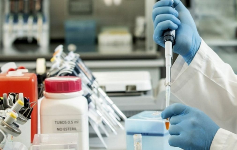 Qué es, cómo funciona y a quiénes beneficia el suero equino hiperinmune contra el Covid-19 Qué es, cómo funciona y a quiénes beneficia el suero equino hiperinmune contra el Covid-19
