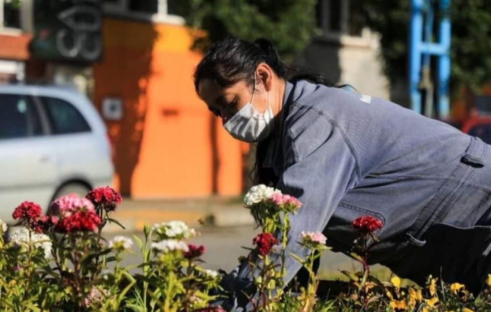 Avanzan los trabajos de embellecimiento de la ciudad Avanzan los trabajos de embellecimiento de la ciudad