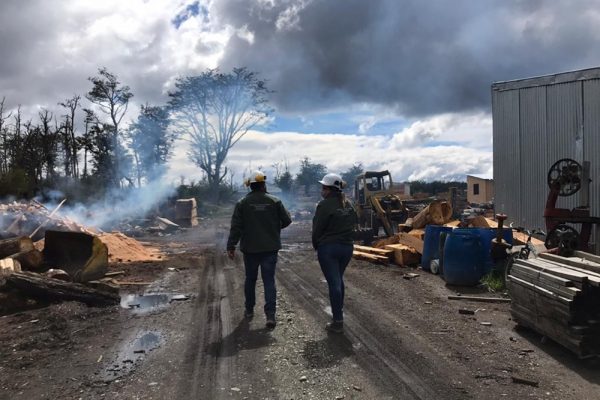 Industria maderera: El Ministerio de Trabajo realiza inspecciones en aserraderos de Tolhuin Industria maderera: El Ministerio de Trabajo realiza inspecciones en aserraderos de Tolhuin
