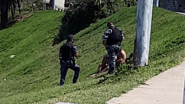 Descubrieron a dos jóvenes teniendo sexo a plena luz del día en un parque emblemático de Mar del Plata Descubrieron a dos jóvenes teniendo sexo a plena luz del día en un parque emblemático de Mar del Plata
