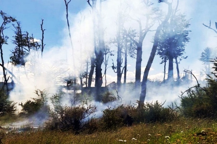 Nuevo incendio por fogón mal apagado Nuevo incendio por fogón mal apagado