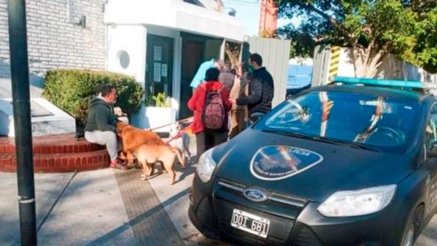 Un hombre atropelló a un paseador, mató a cuatro perros y los vecinos piden justicia Un hombre atropelló a un paseador, mató a cuatro perros y los vecinos piden justicia