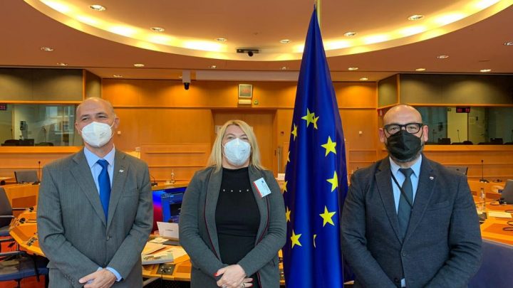 Bertone defendió la cuestión Malvinas en el Parlamento Europeo