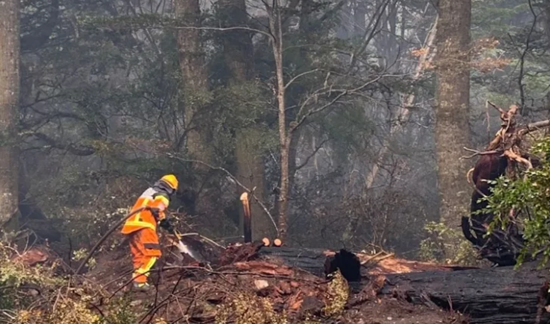 Reclamo por falta de accion de la Justicia en los incendios forestales en TDF